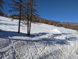 PXL 20210131 083749396